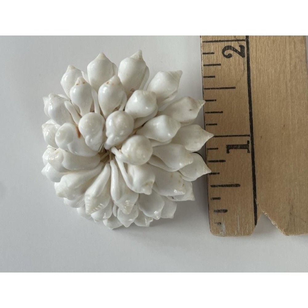 Cowrie Shell Brooch Pin Hand Woven Flower Design White Straw Marshall‎ Islands